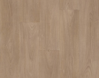 [200111122_87] Taralay Impression Compact - 1093 Charme Kraft